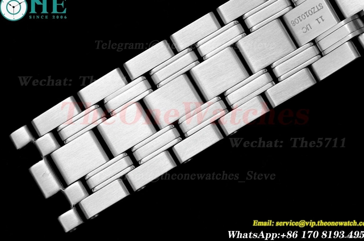 Seamaster Wht A8800 SS SS blue 300m 42mm JVSF 0112